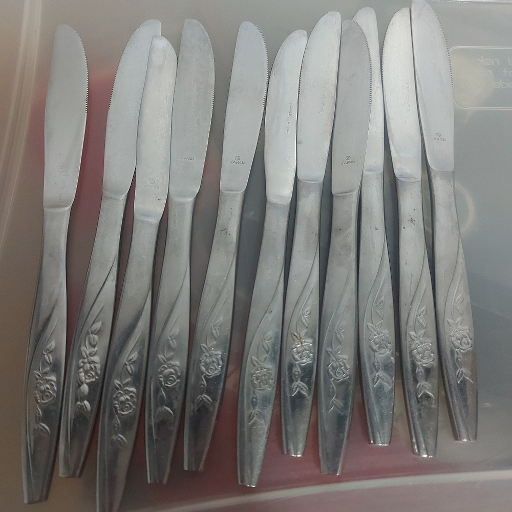 stainless rose set of 11 knifes